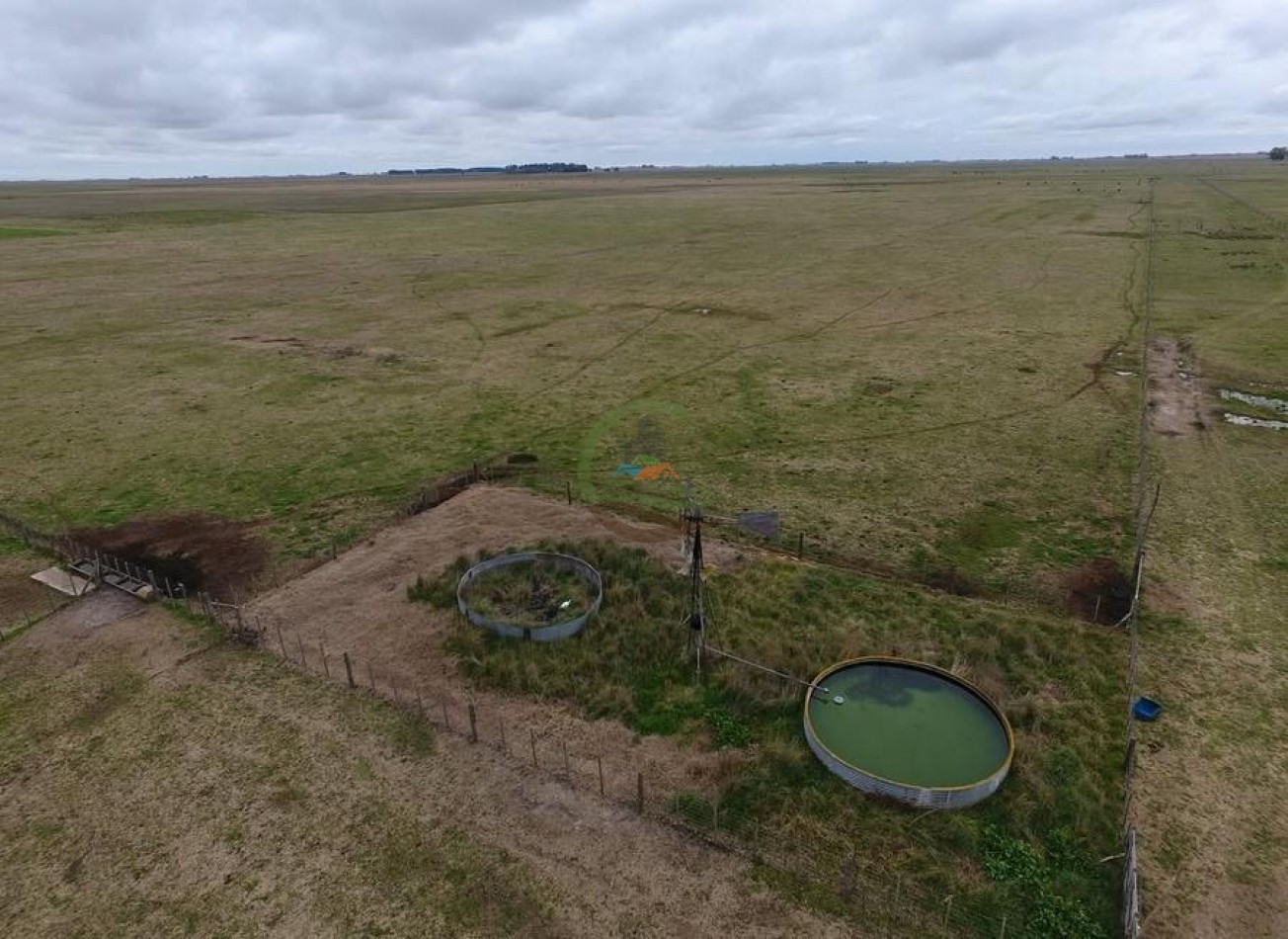 328 Ha Mixto - Colman - Rauch