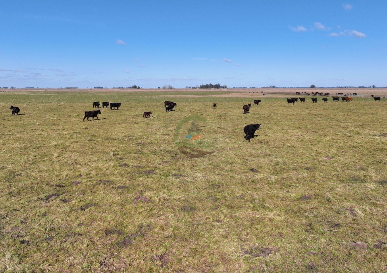 432 Ha Ganadero -  Ayacucho