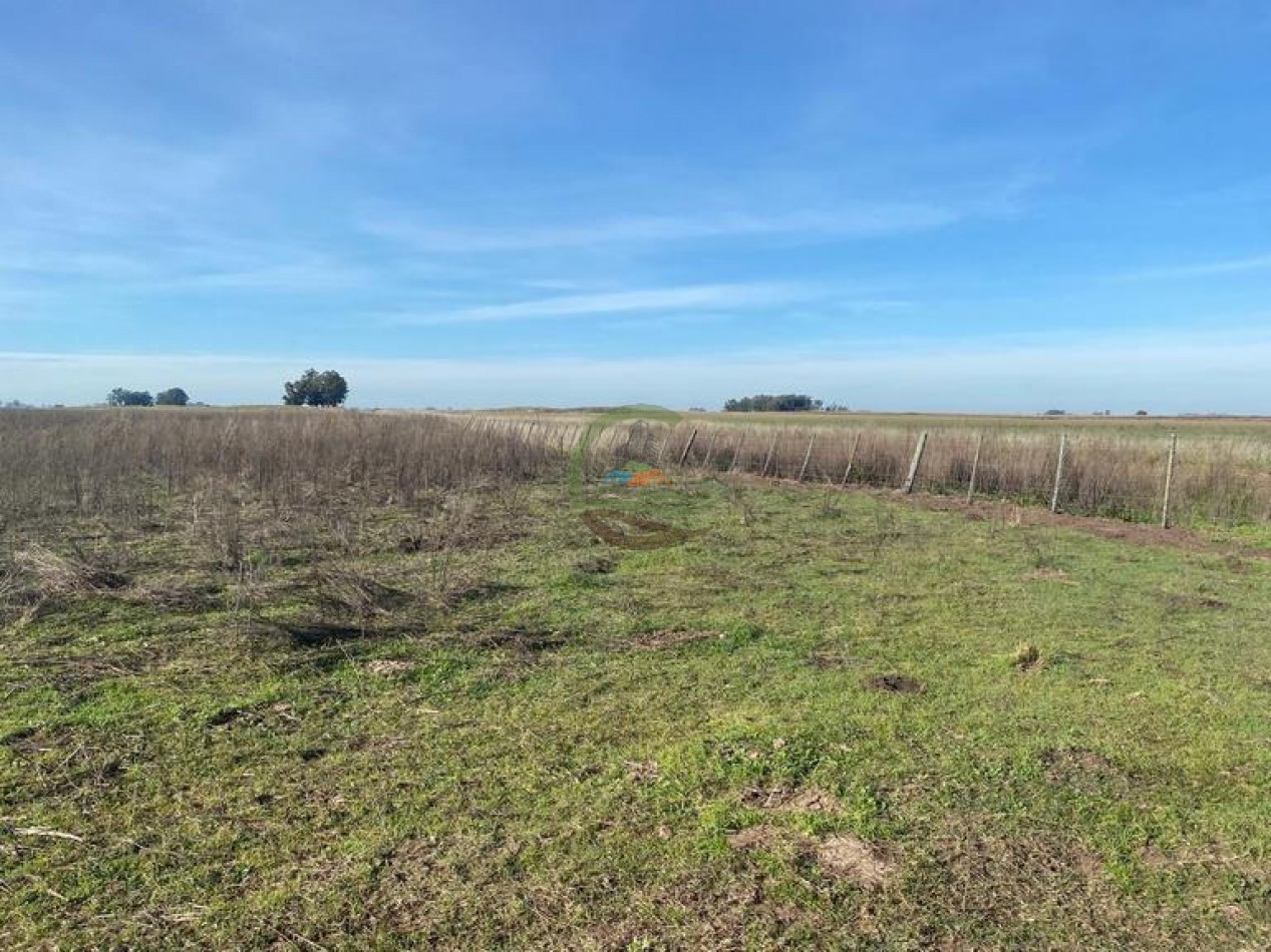 38 Ha Agricolas - Bolivar