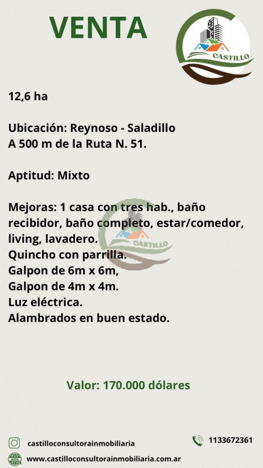 12,6 ha Mixtas - Saladillo