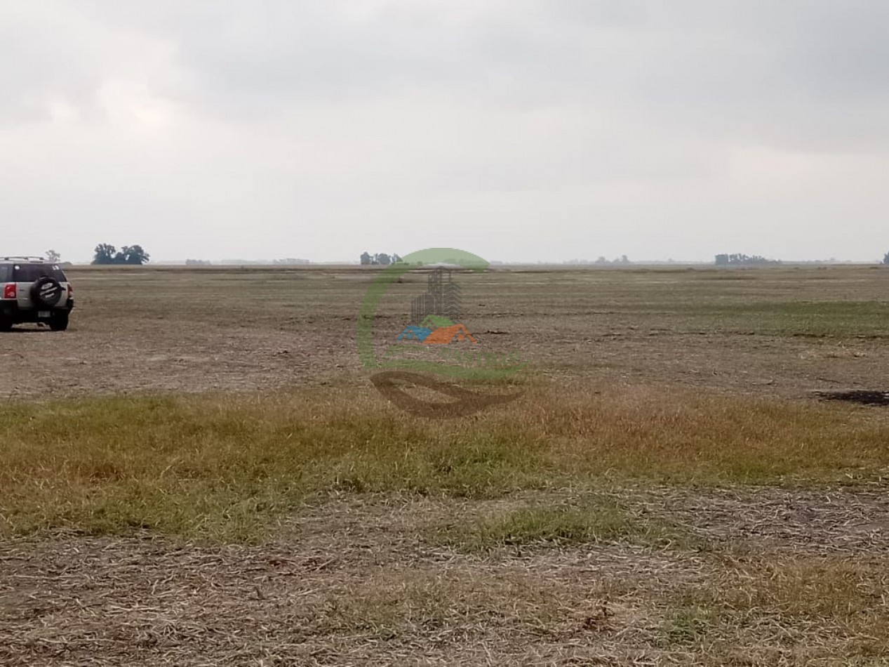 104 ha Agricola - Arequito Sta Fe