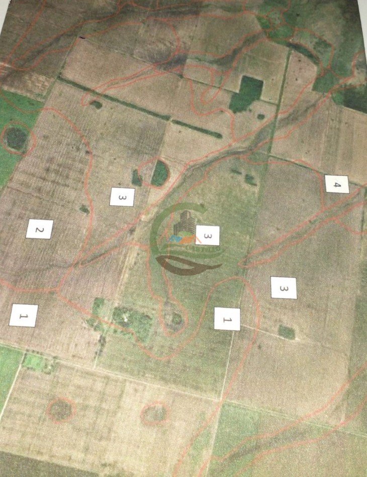 709 Ha Agricolas - San Justo - Santa Fe