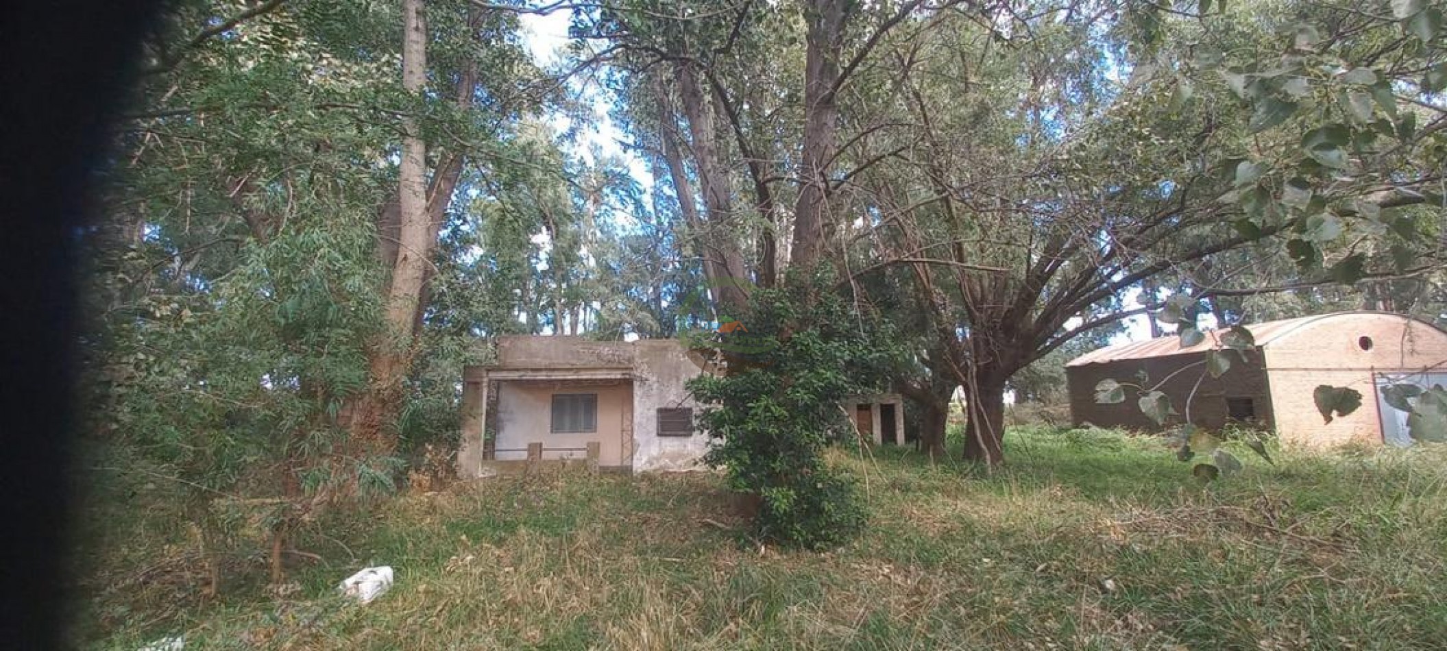 50 Ha Agricolas - Herrera Vegas
