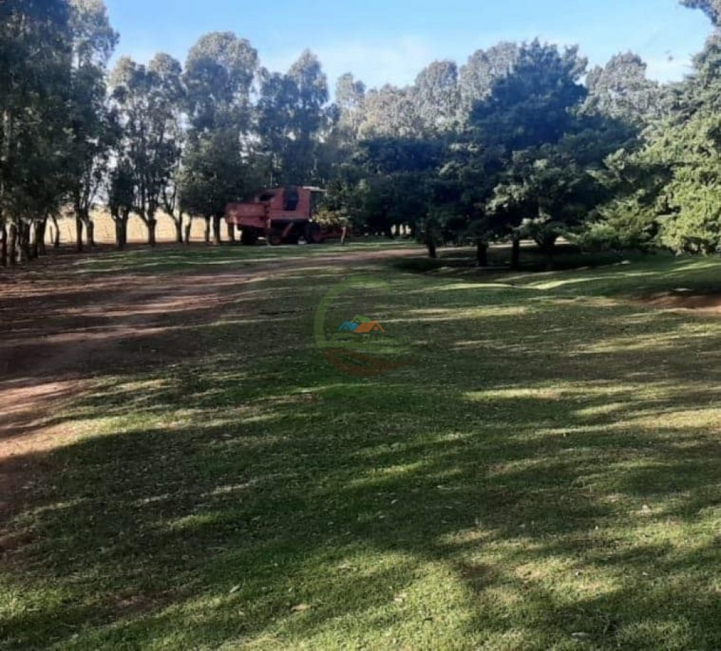 360 ha Mixtas - Tornquist