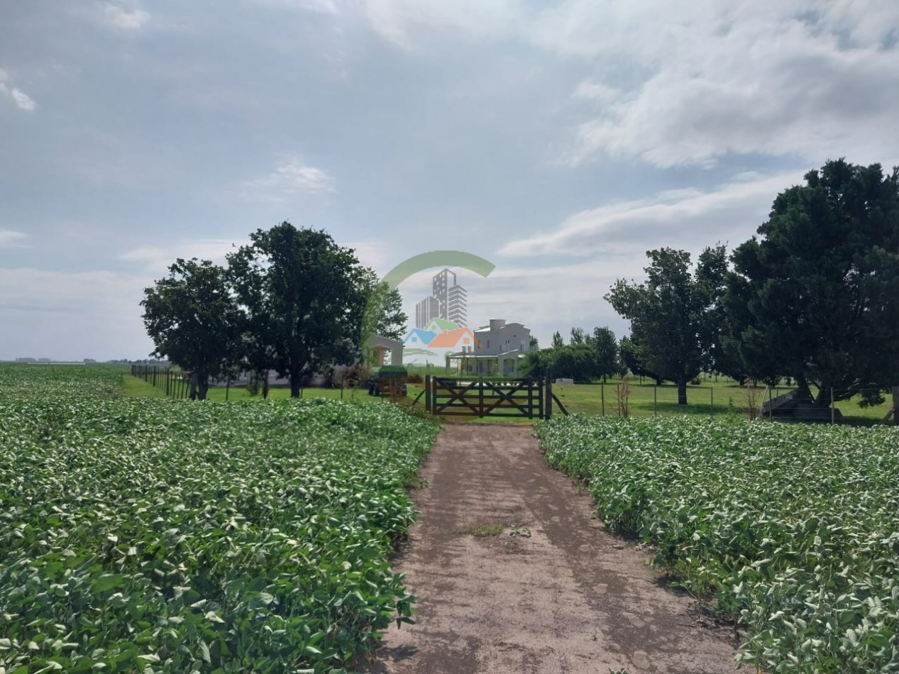 515 ha MIxtas - Pergamino