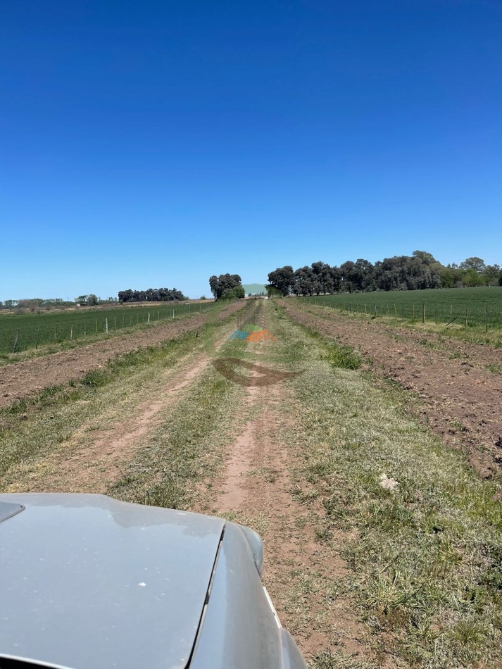 102 ha Agricolas - 25 de Mayo 