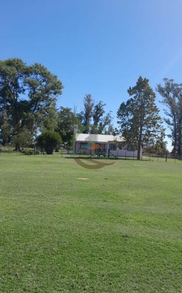 350 ha Agricolas - San Cayetano
