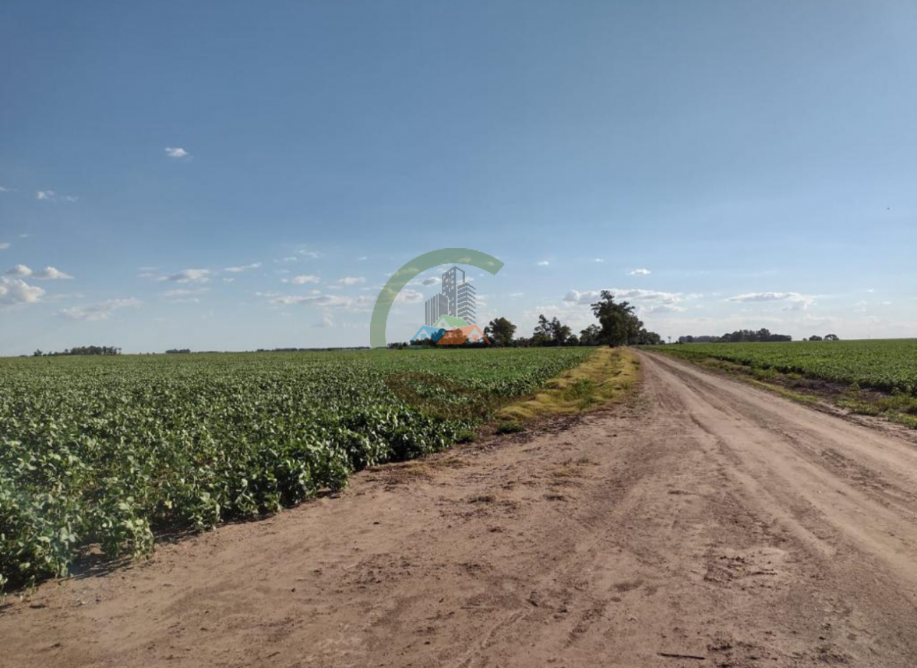 177 ha Mixtas - Pergamino 