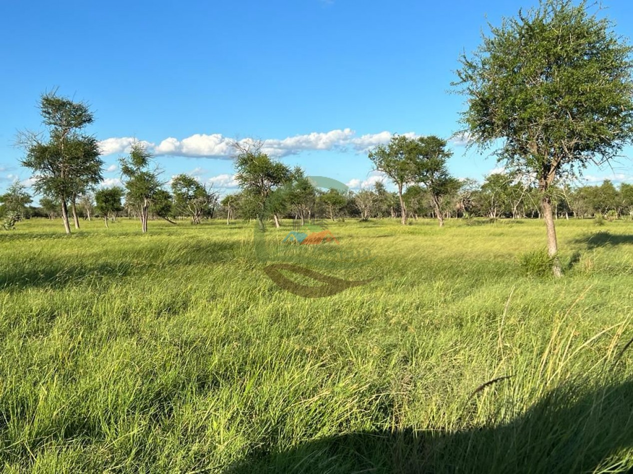 43000 ha MIxtos - Formosa