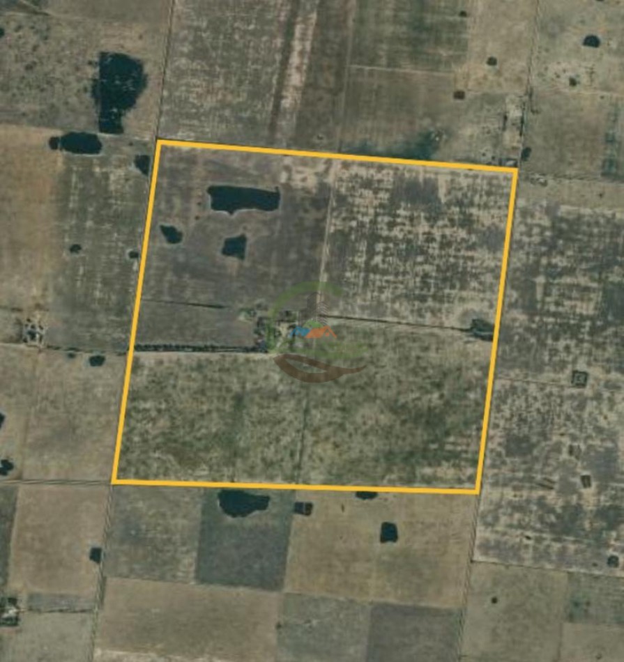 360 Ha Agricolas - Tostado - Santa Fe 