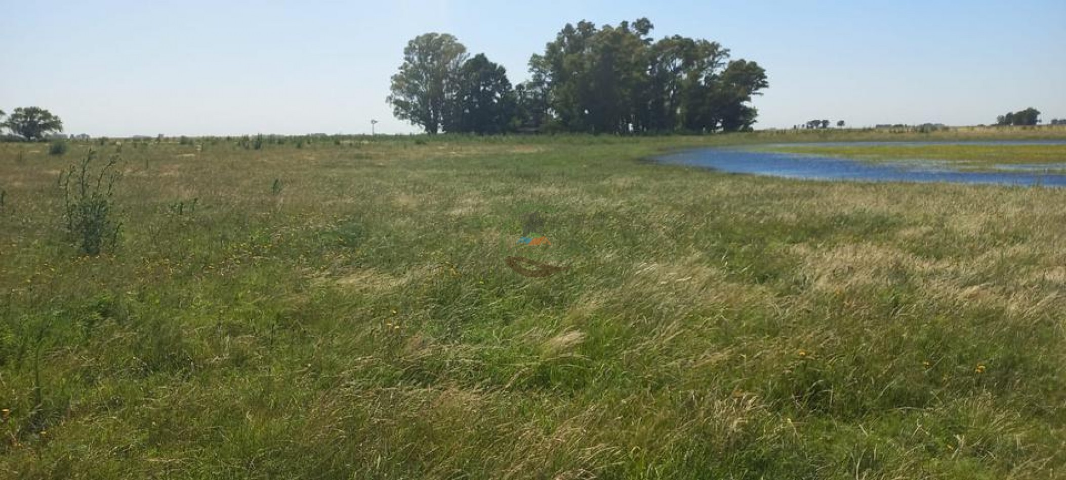 120 Ha Ganadero - Santa Isabel - Gral Alvear