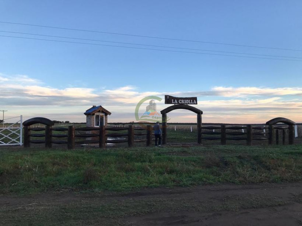 3330 ha Mixto - La Maruja - La Pampa