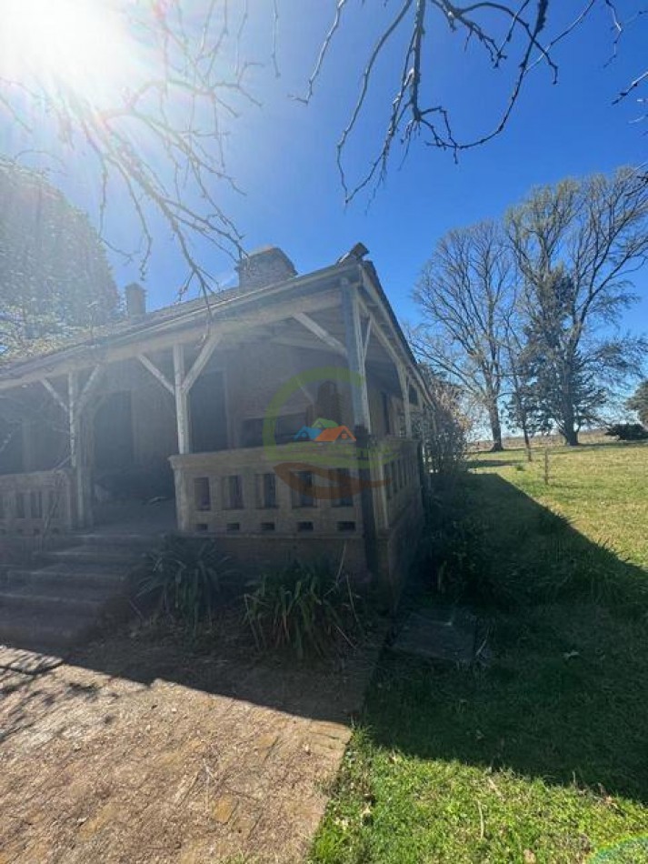 490 Ha Ganadero - Carmen de Areco