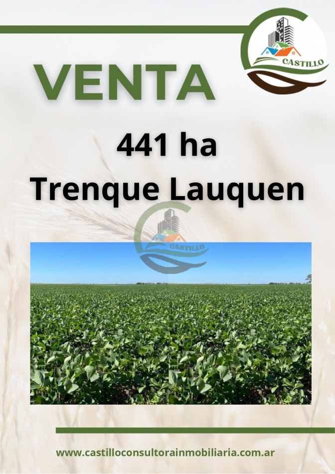 441 mixtas - trenque lauquen