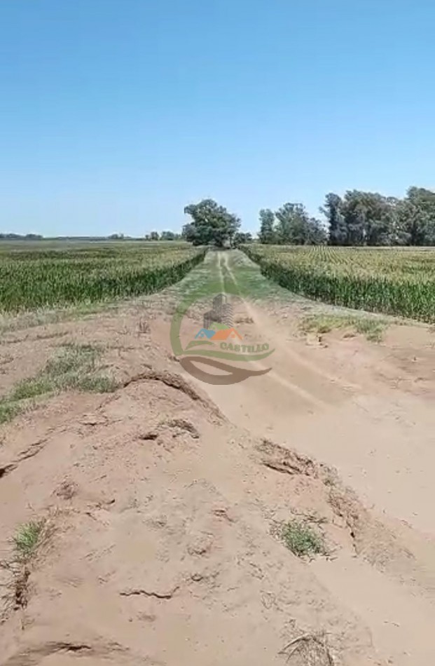 70 ha Agricolas - daireaux