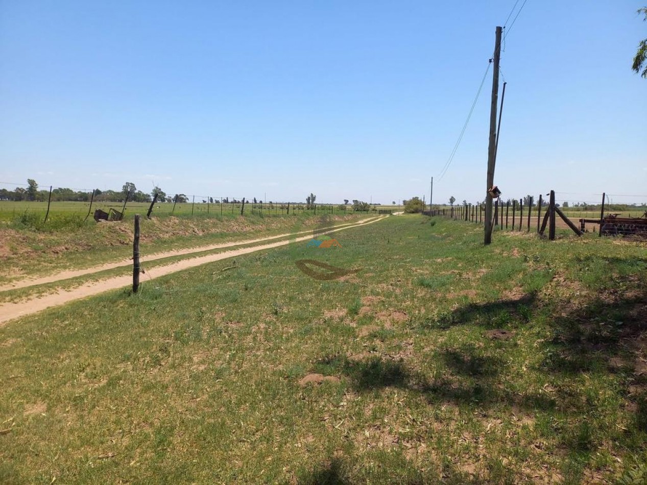 25 Ha Agricolas - Holmberg - Rio Cuarto