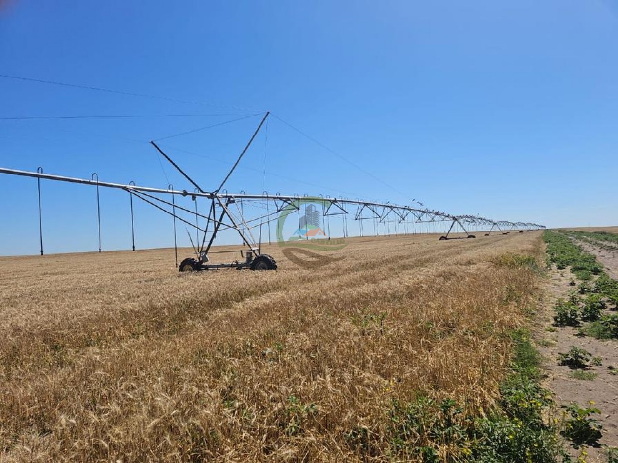 730 Ha Agricolas - Carmen de Patagones