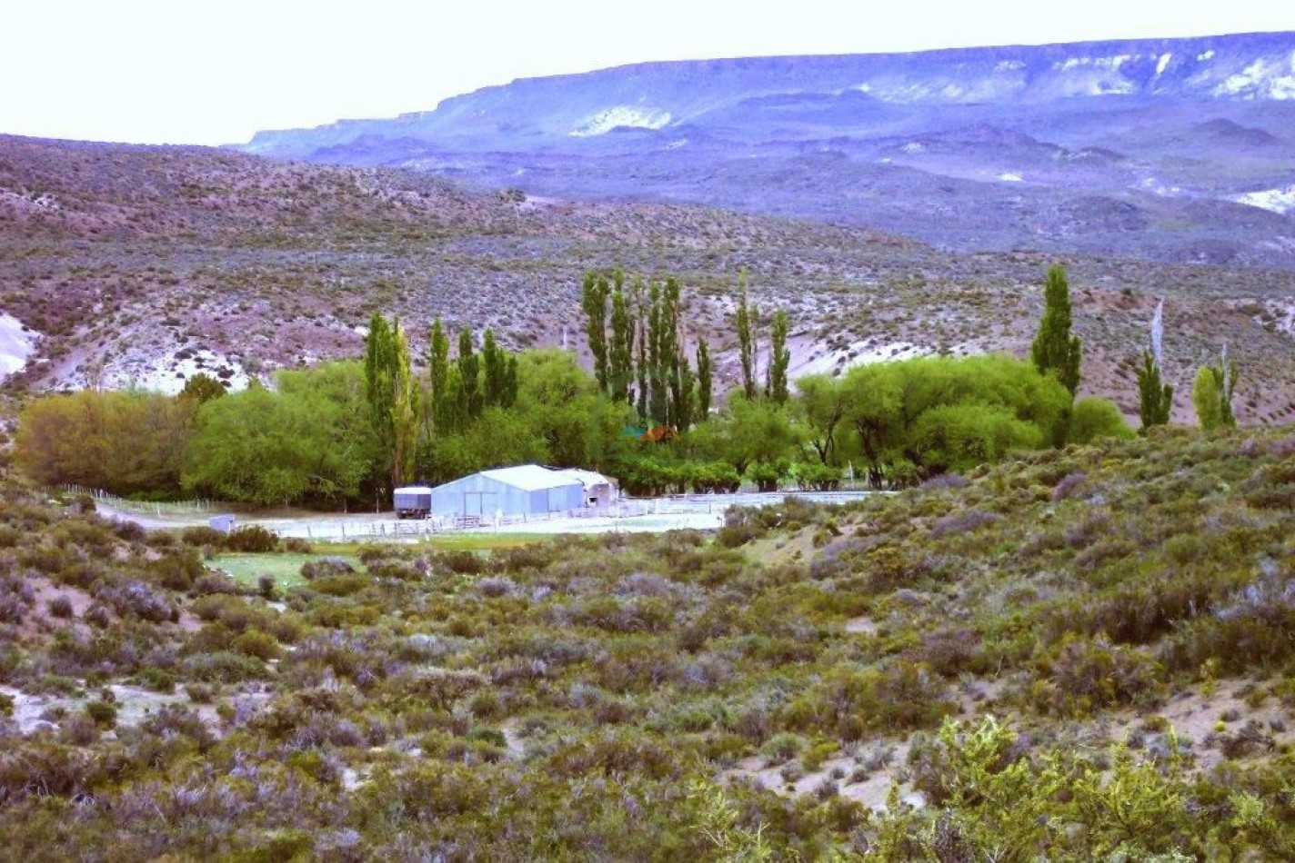 93000 ha Ganaderas - Pasos de los Indios - Chubut