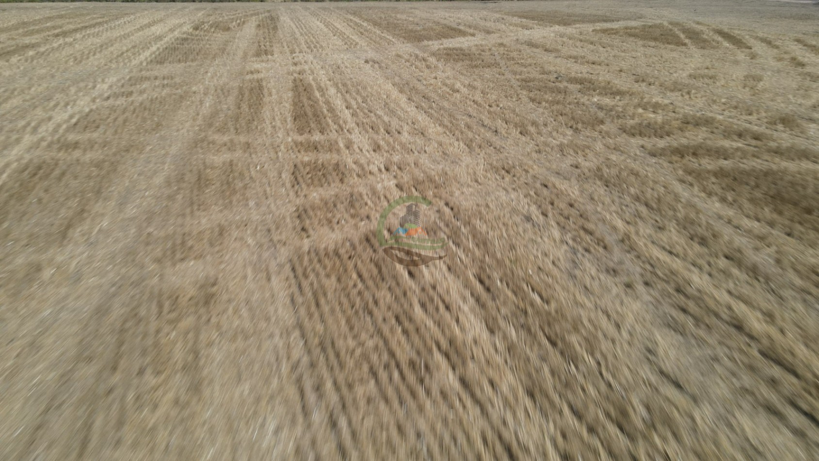 161 Ha Agricolas - Irazusta - Entre Rios