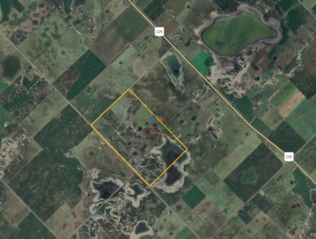 255 Ha Mixto - Inocencio Sosa - Pehuajo.