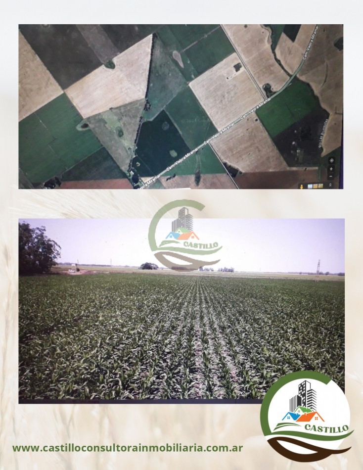 540 ha agricolas - miramar