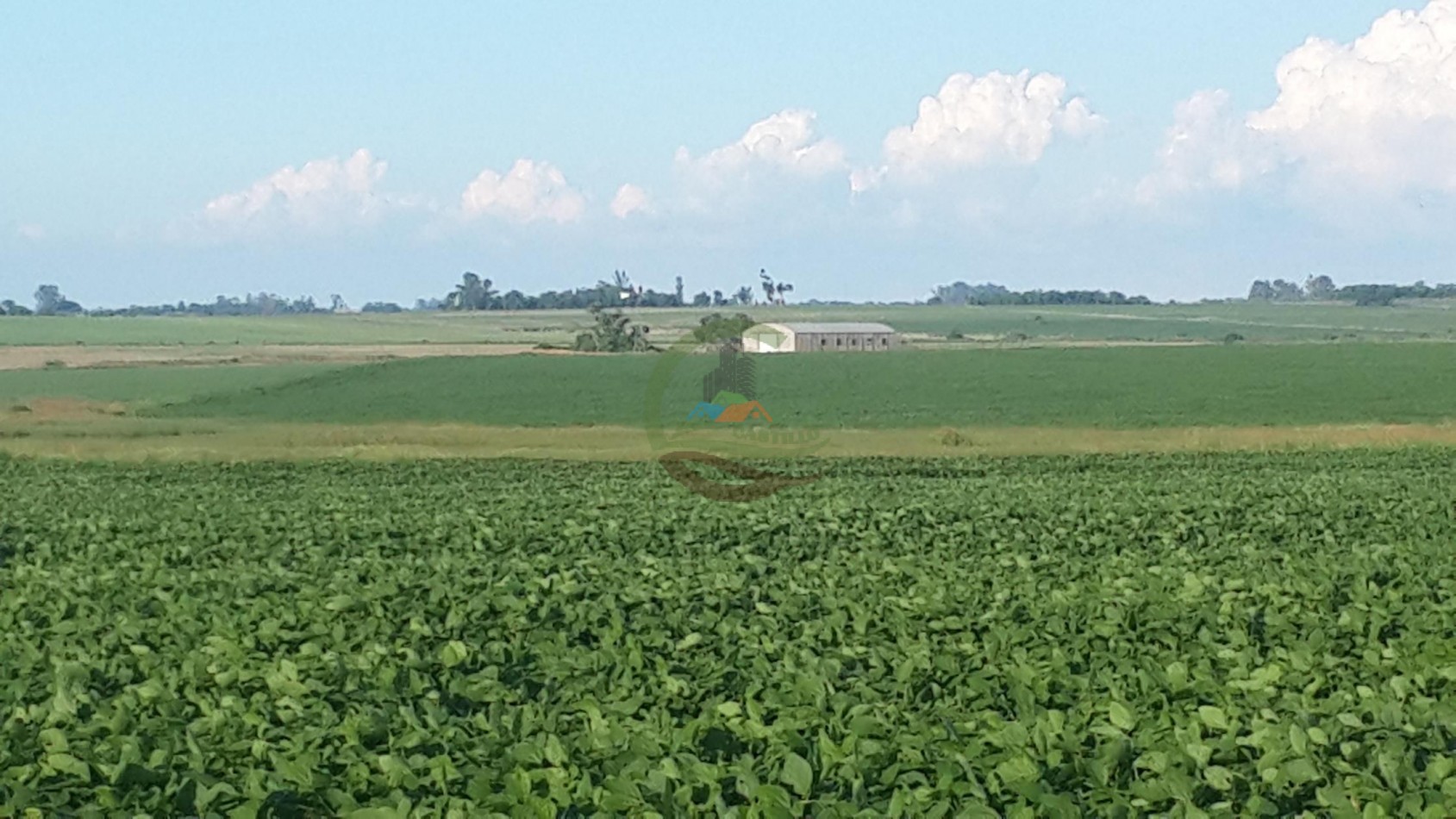 575 Ha Agricolas - Victoria - Entre Rios