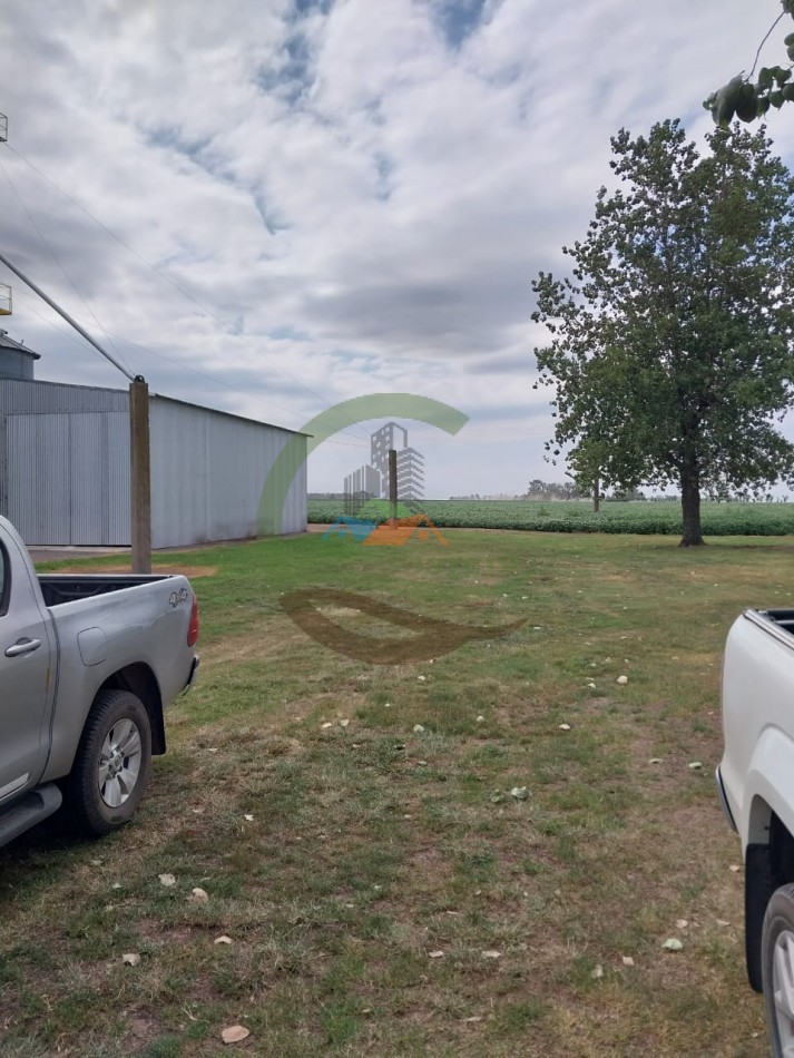 515 ha MIxtas - Pergamino