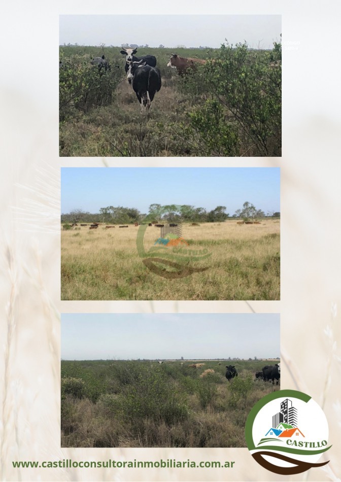 24000 ha mixtas - cordoba 