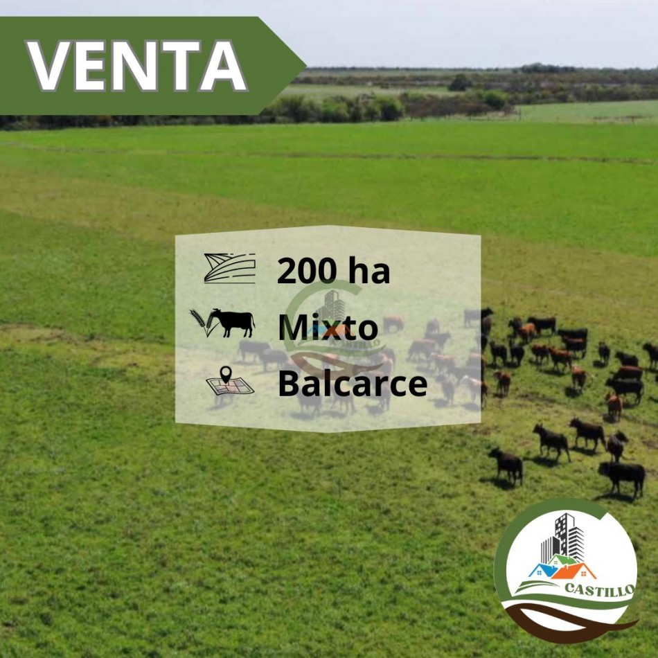 200 ha mixtas - balcarce