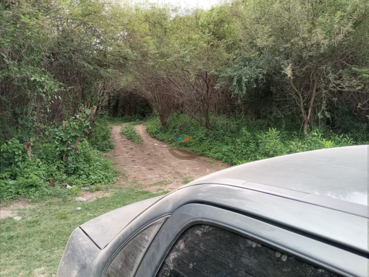 128 Ha - Sumamao - Santiago del Estero