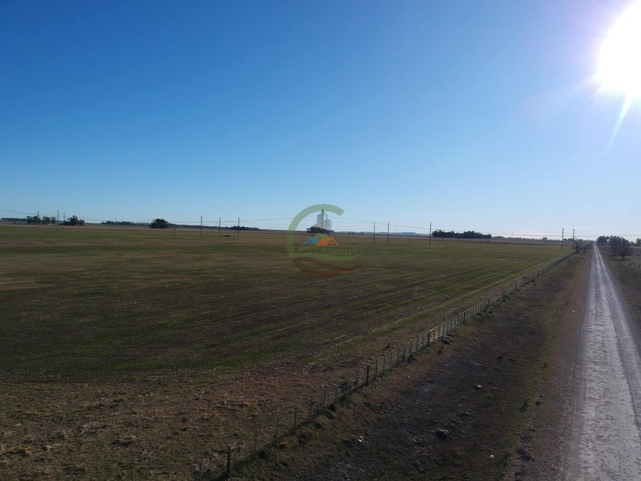 48 ha mixto - Olavarria