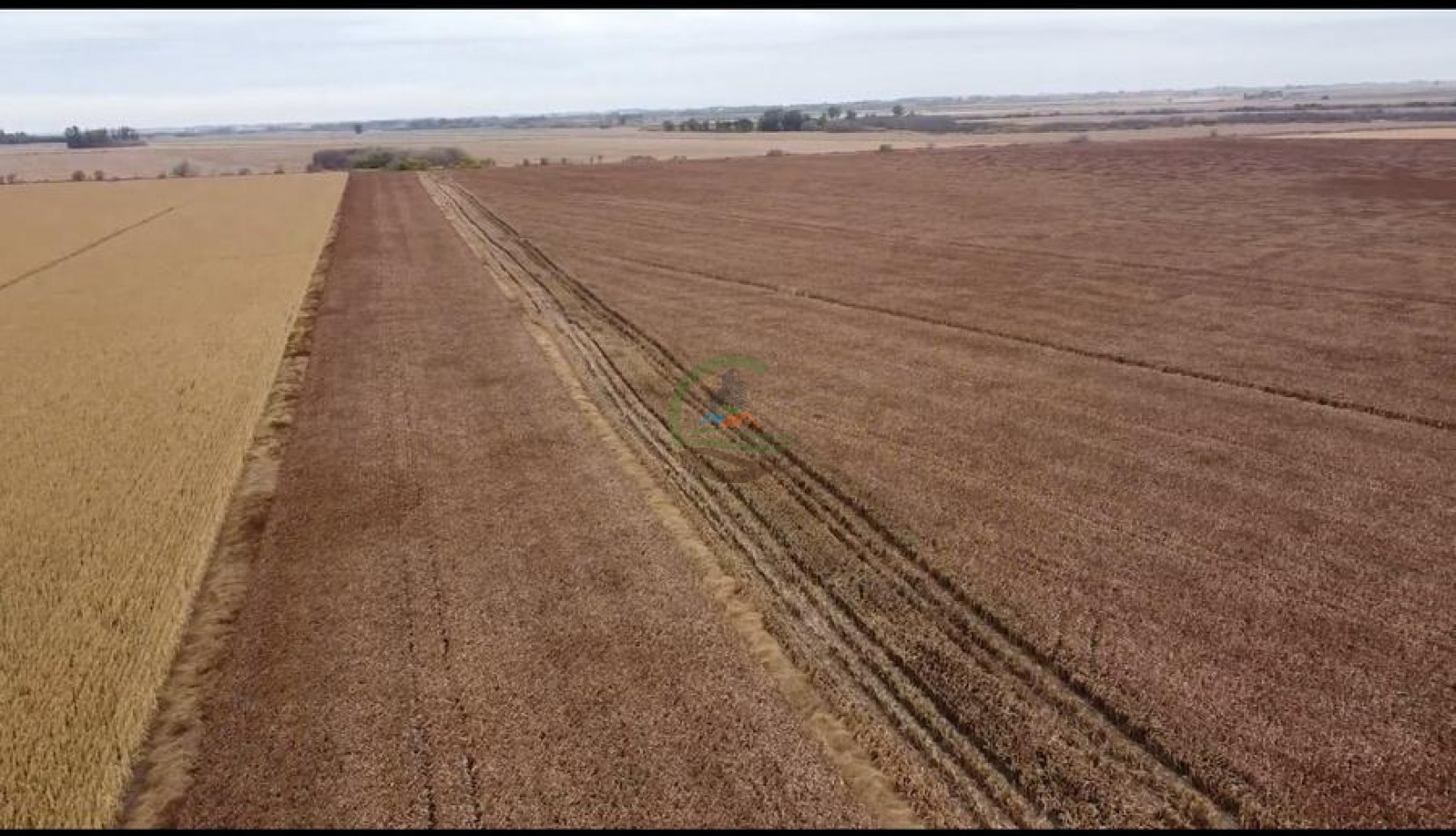 300 Ha Agricolas - Armstrong - Santa Fe