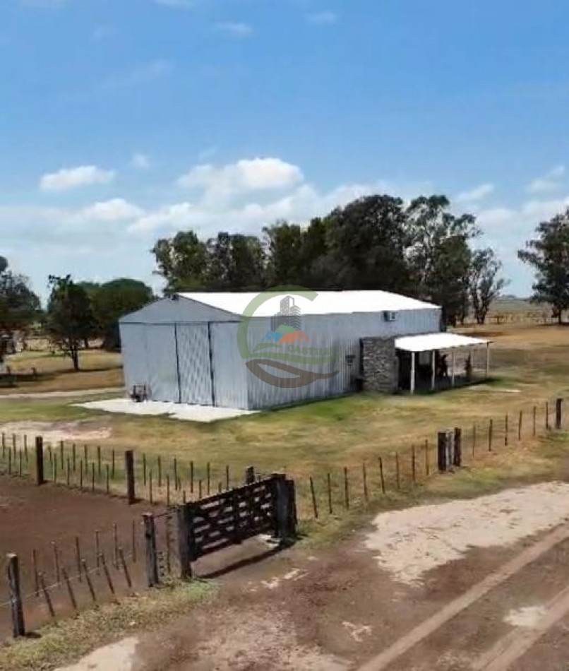 1135 Ha Mixto - Dorila - Mara Co - La Pampa