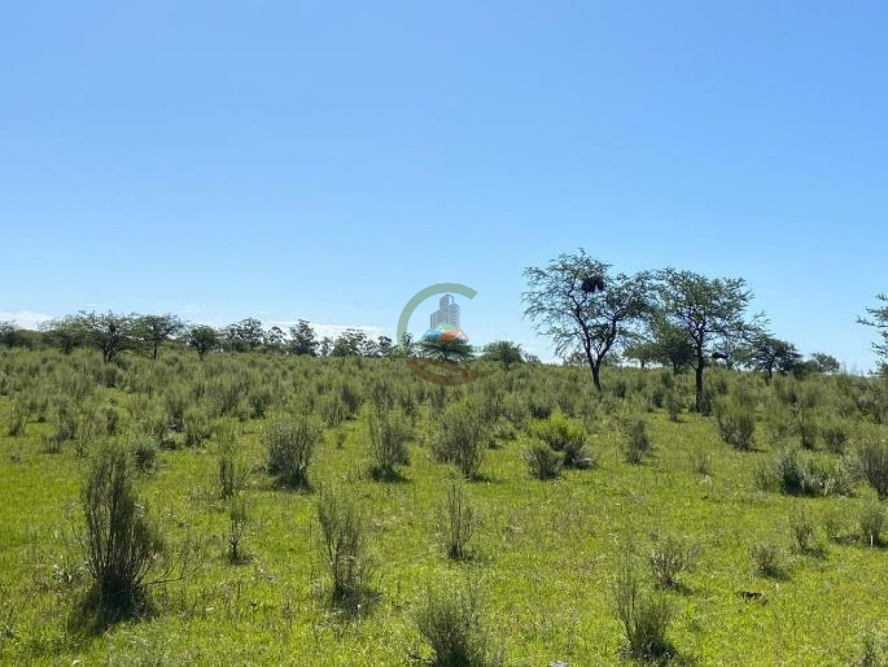 91 Ha Mixtas - San Salvador - Entre Rios