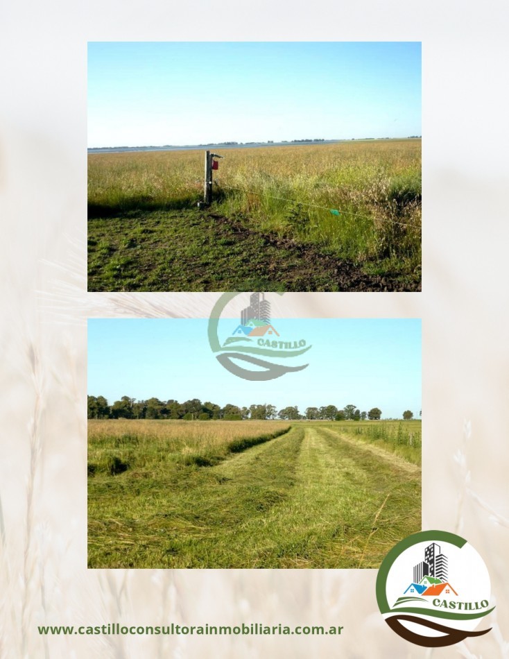 500 ha mixtas - guamini