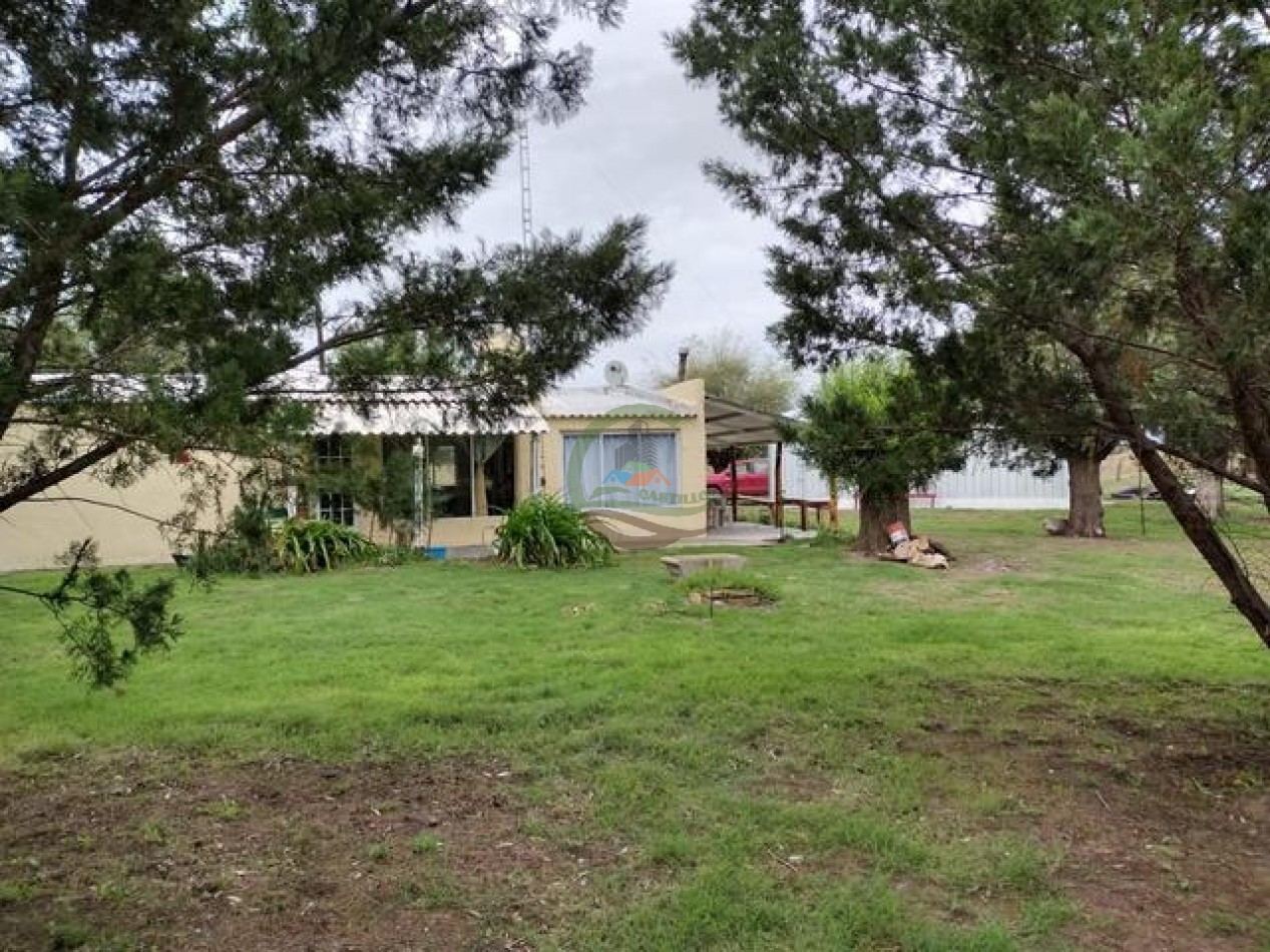 850 Ha Mixto - Puan
