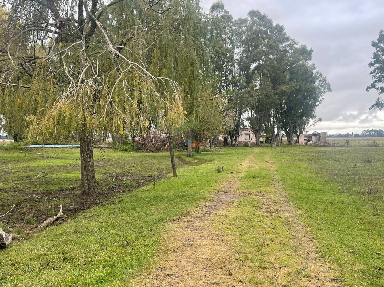 47 ha Ganadera - Olavarria
