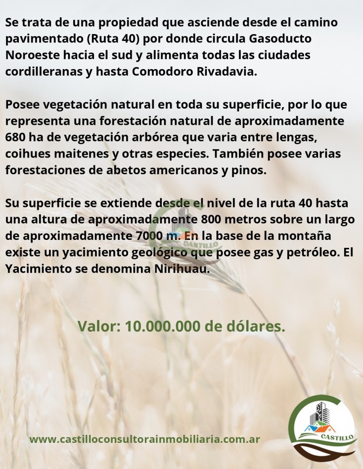 986 ha Mixta - el hoyo
