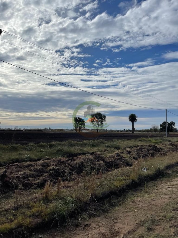 10,5 ha - Saladillo
