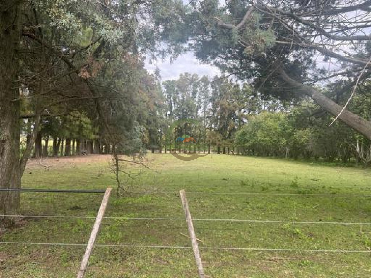 37,5 Ha Agricolas - Zarate