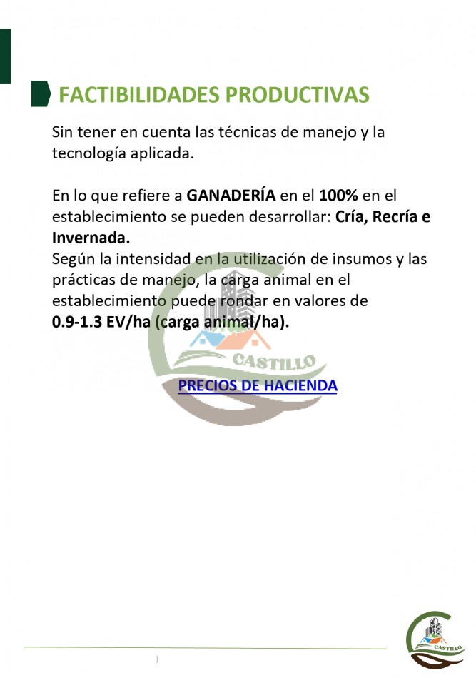315 ha Mixto - Balcarce