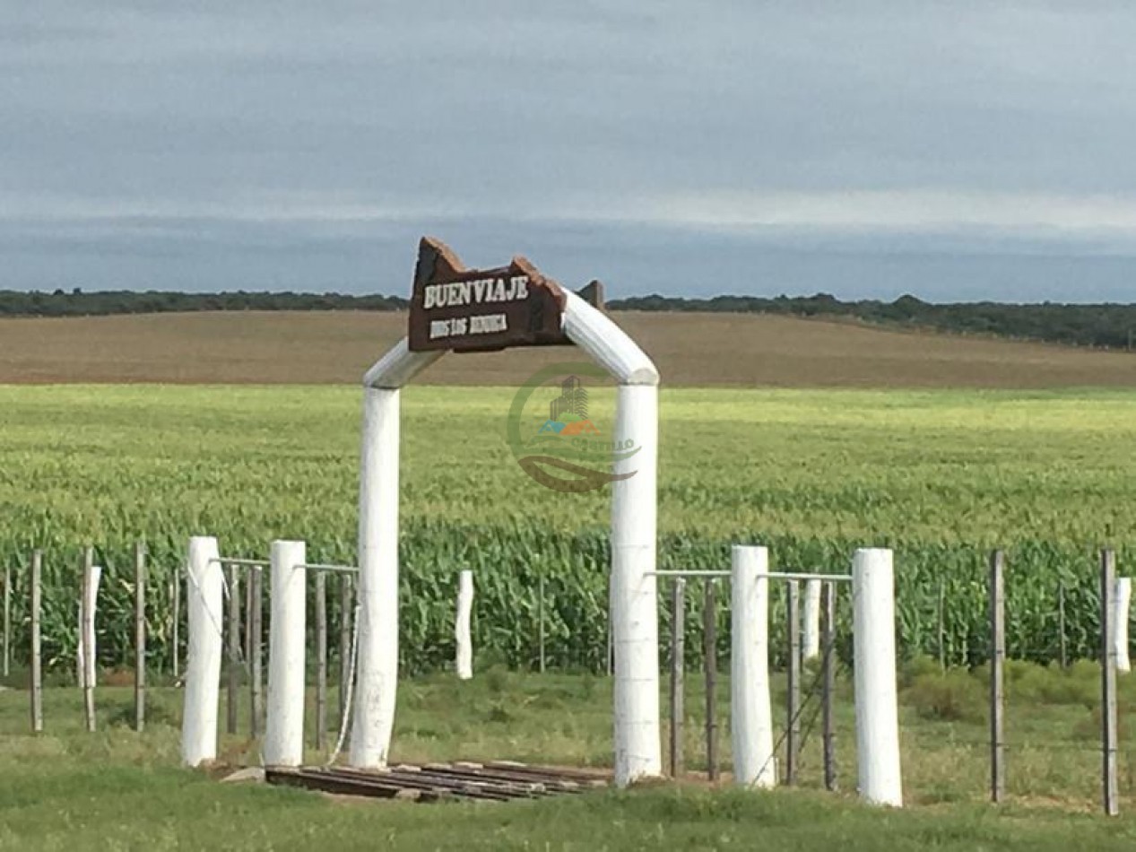 3330 ha Mixto - La Maruja - La Pampa
