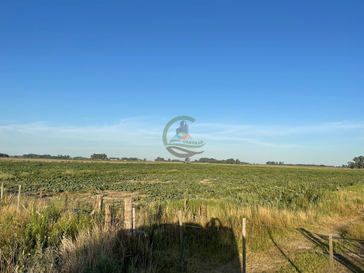 18 ha Mixtos - Pedernales