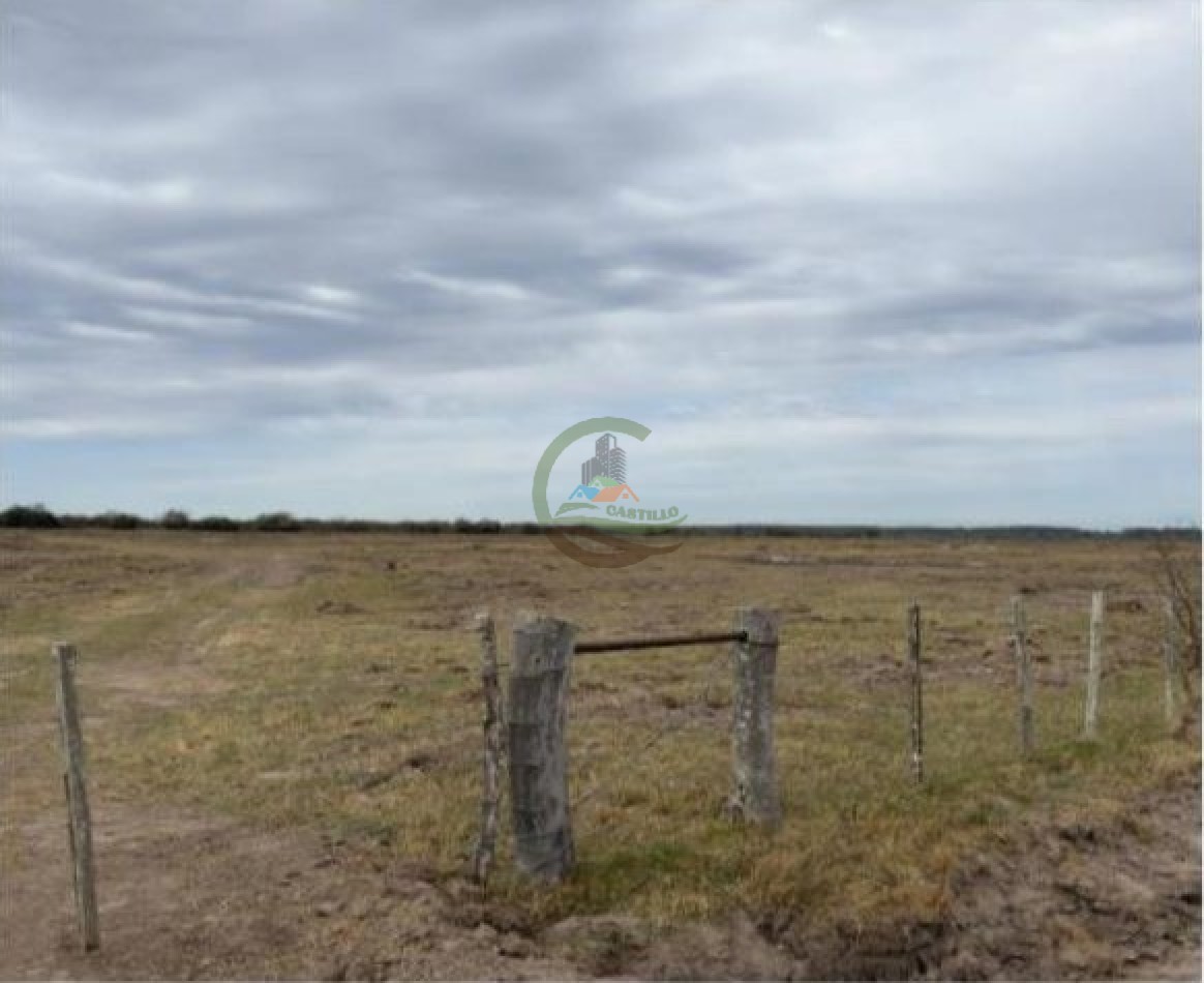 115 ha Mixto - San Salvador - Entre Rios
