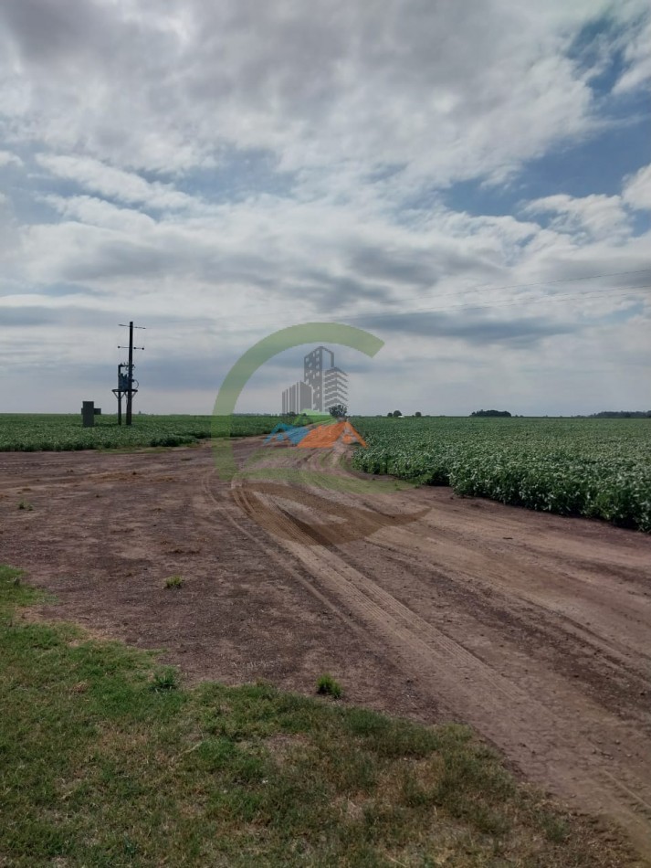 515 ha MIxtas - Pergamino