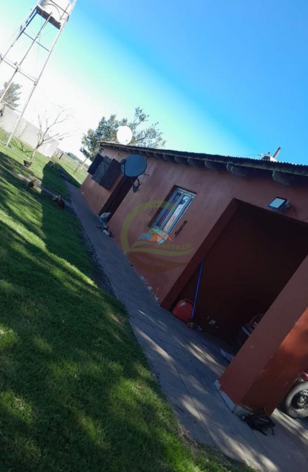 350 ha Agricolas - San Cayetano
