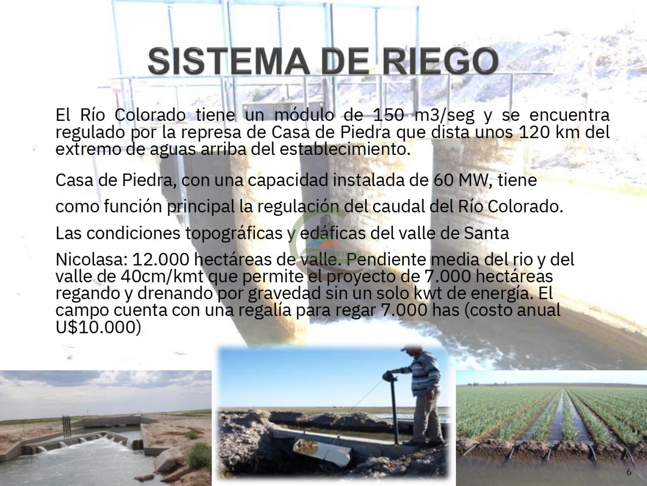 70000 ha Mixto - Rio Negro