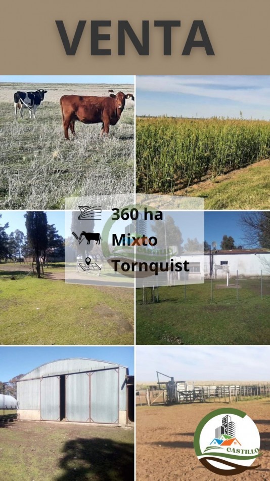 360 ha Mixtas - Tornquist
