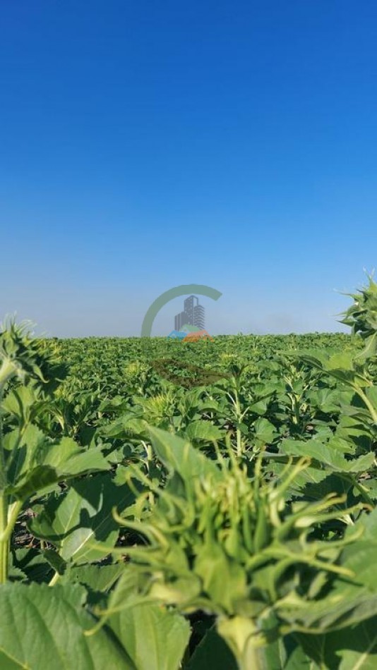 3750 Ha Agricolas - Gato Colorado - Santa Fe