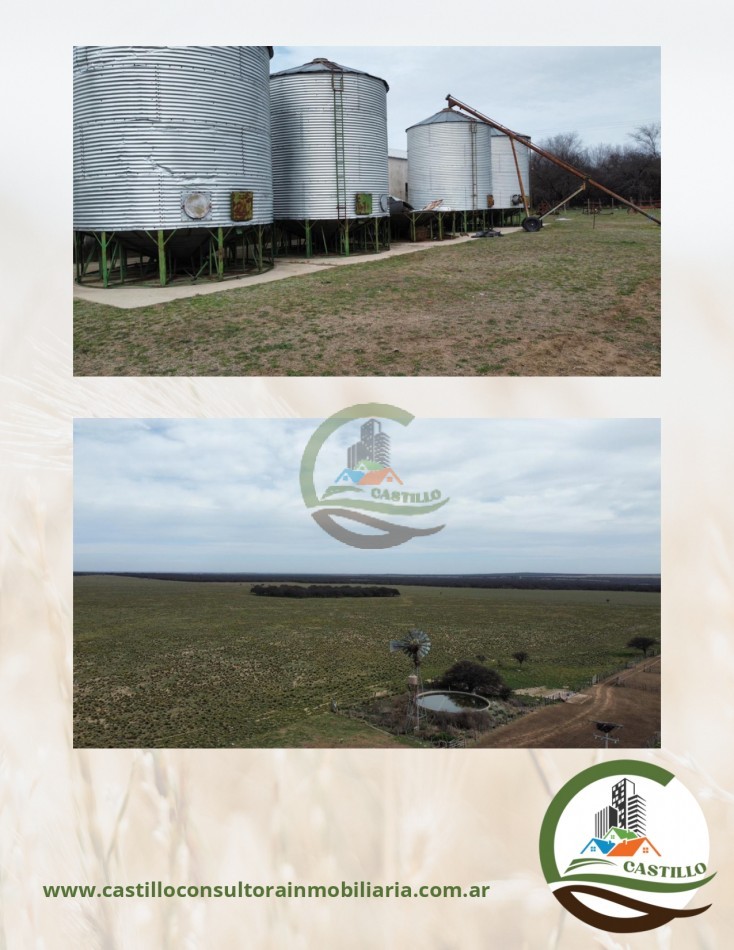 1248 ha mixto - la pampa